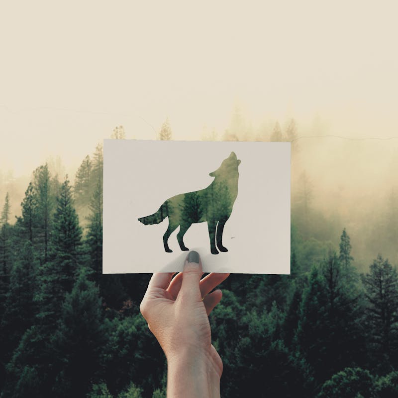 Vergi incelemelerinde nelere dikkat edilmeli