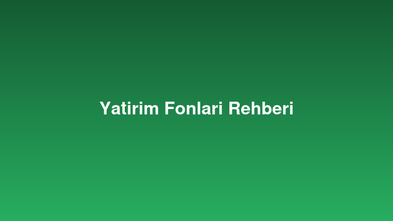 Yatirim fonlari ve portfoy yonetimi gorseli