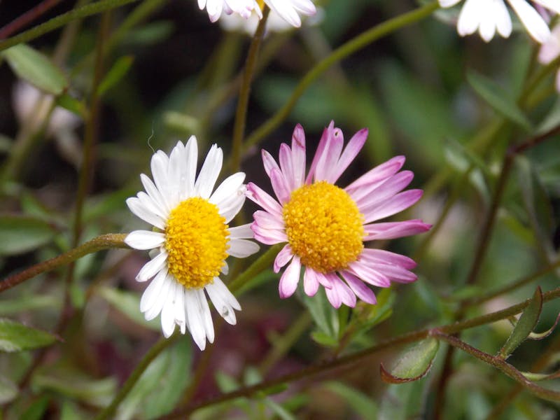 BES bireysel emeklilik çıkış strateji