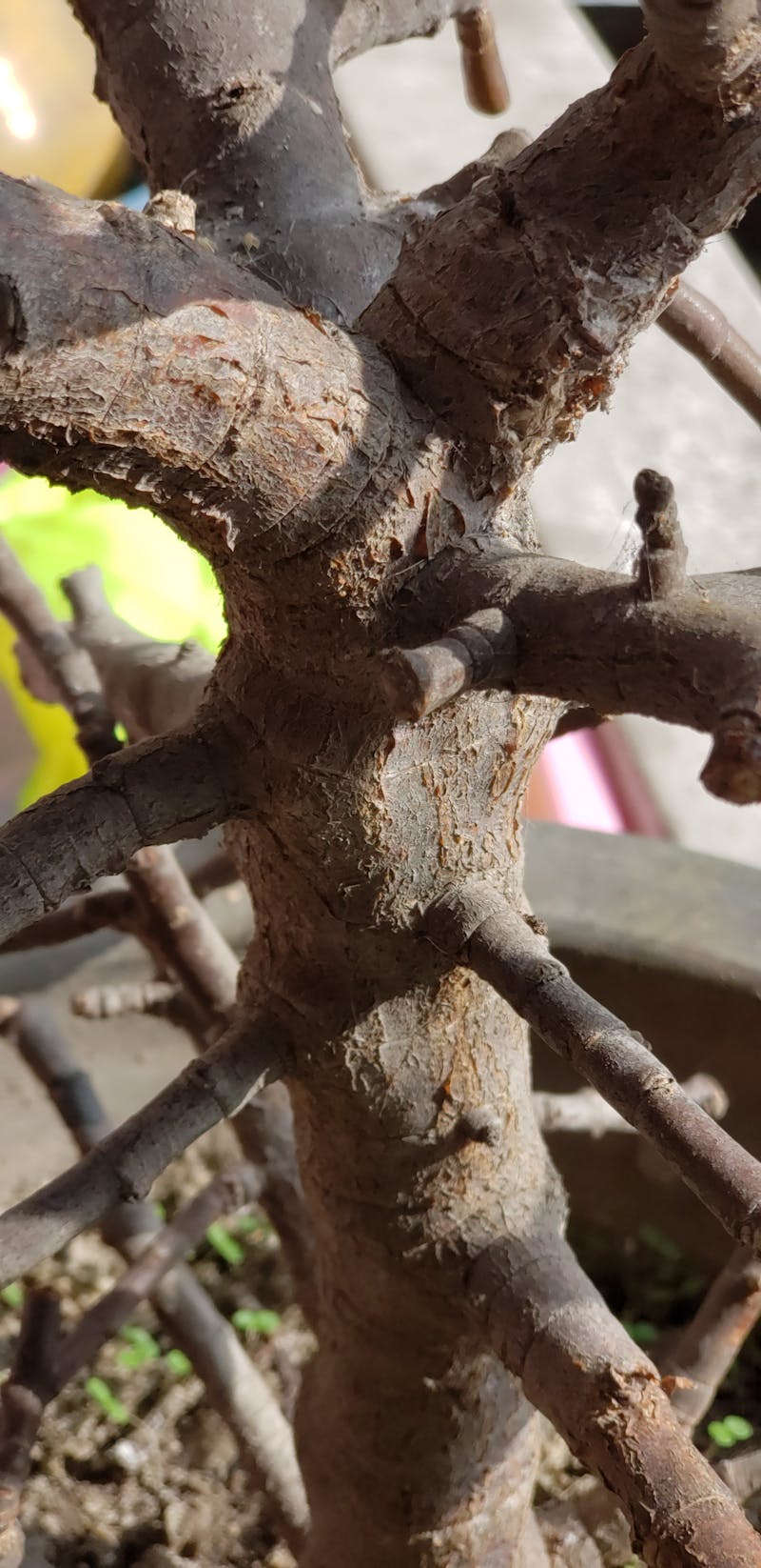 Ekonomik döngü yatırım portföy strateji