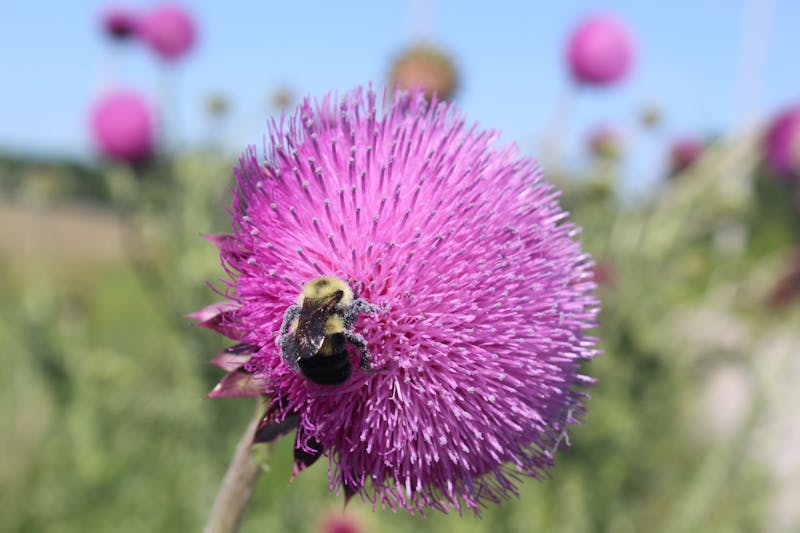 Proof of Stake validatör staking kripto Ethereum