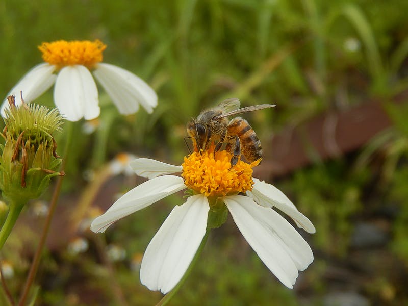 Akilli şehir gayrimenkul gelecek teknoloji