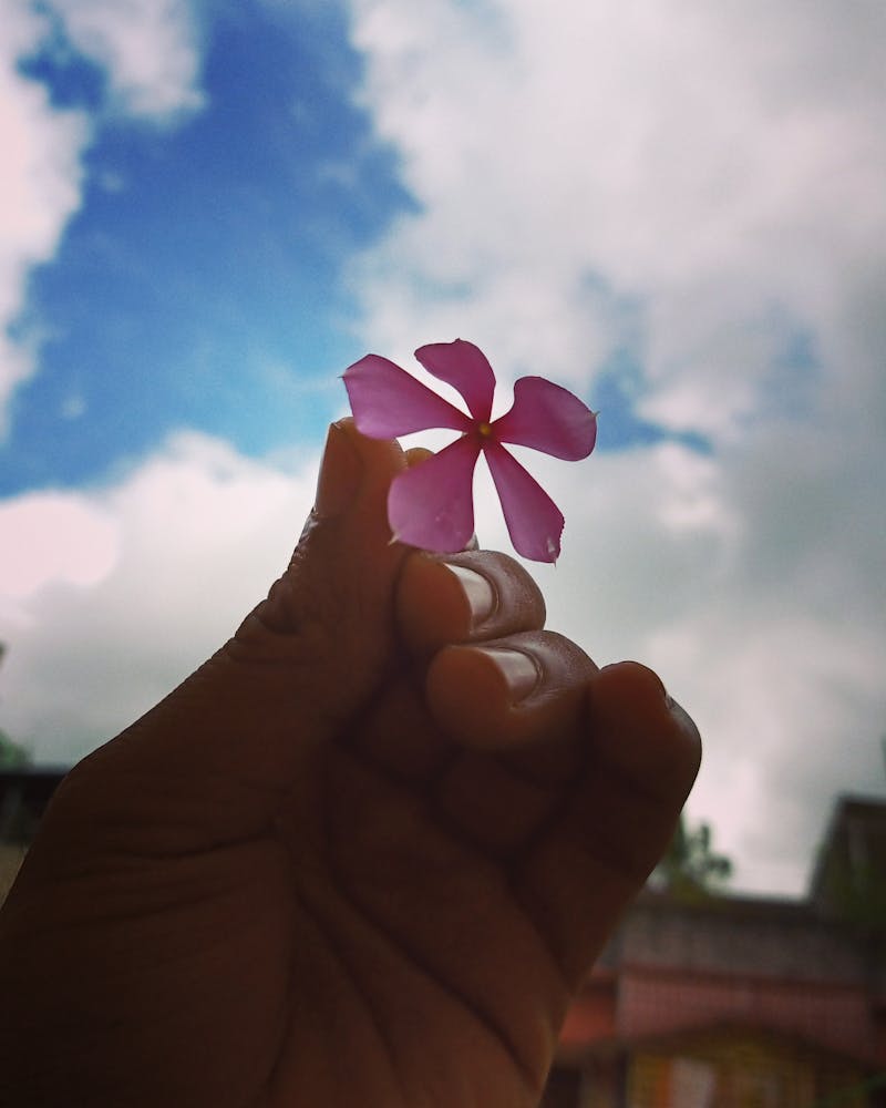 Gig ekonomisi platform çalışani kurye bisiklet