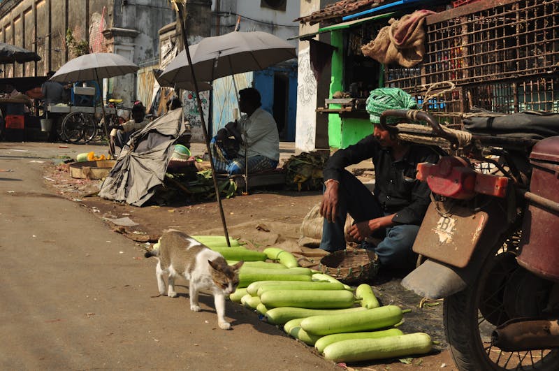 Mavi yaka is guvenligi çalışanlari koruma ekipmanlari