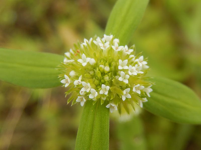 Tedarik zinciri lojistik konteyner kuresel ticaret