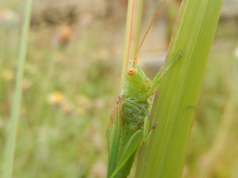 Tokenize gayrimenkul blockchain dijital yatirim