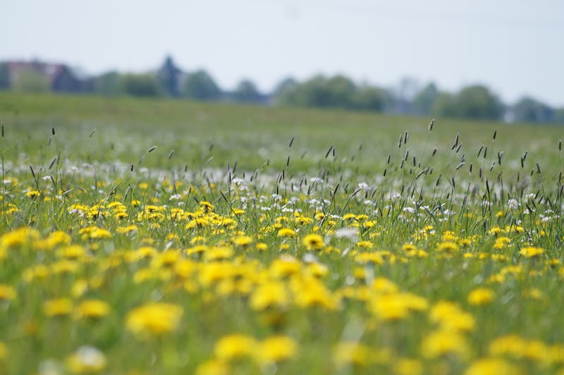 Türkiye Afrika ticaret ilişkileri büyüme potansiyeli