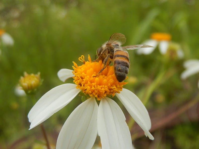 Türkiye dijital ekonomi e-ticaret fintech 2026